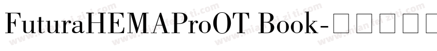 FuturaHEMAProOT Book字体转换